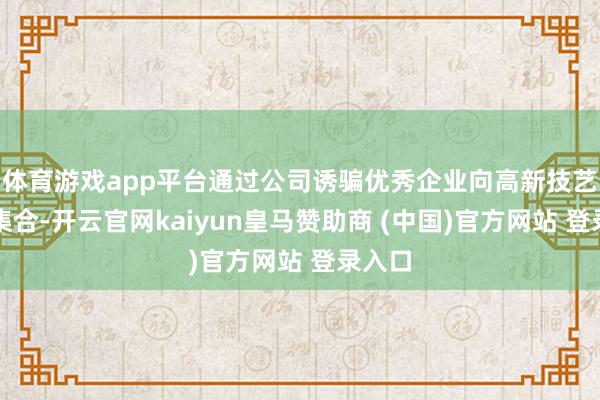 体育游戏app平台通过公司诱骗优秀企业向高新技艺产业集合-开云官网kaiyun皇马赞助商 (中国)官方网站 登录入口