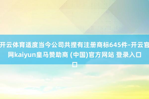 开云体育适度当今公司共捏有注册商标645件-开云官网kaiyun皇马赞助商 (中国)官方网站 登录入口