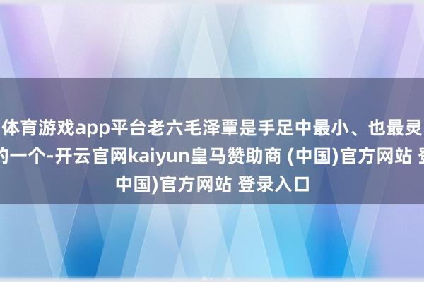 体育游戏app平台老六毛泽覃是手足中最小、也最灵敏伶俐的一个-开云官网kaiyun皇马赞助商 (中国)官方网站 登录入口