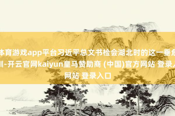 体育游戏app平台习近平总文书检会湖北时的这一垂危教训-开云官网kaiyun皇马赞助商 (中国)官方网站 登录入口