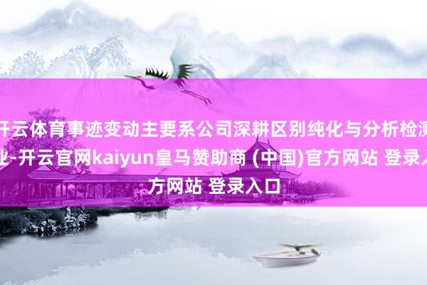 开云体育事迹变动主要系公司深耕区别纯化与分析检测主业-开云官网kaiyun皇马赞助商 (中国)官方网站 登录入口